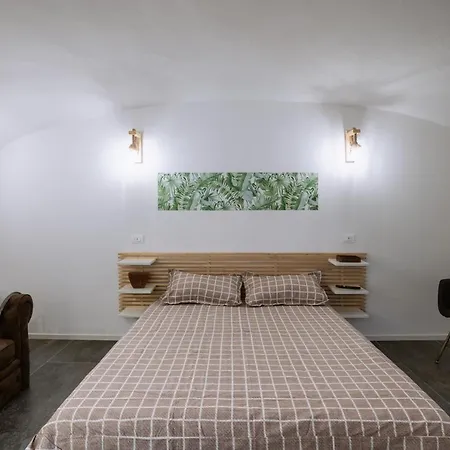 Maneki Serra 1/2d * Bologna